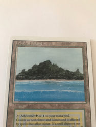 Tropical Island (Revised) (LP) (X2)