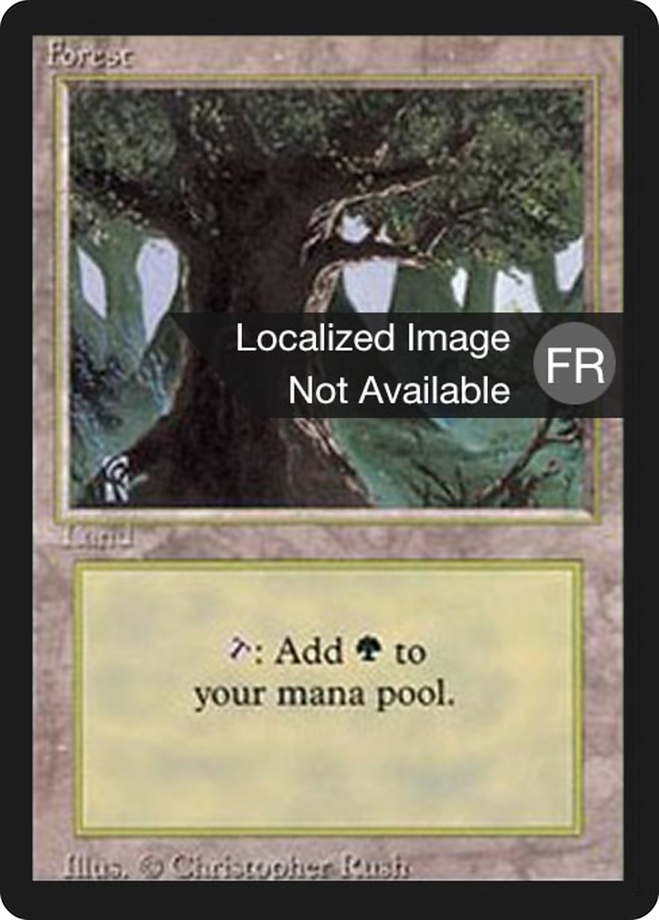Image of Forest (A) [Foreign Black Border]