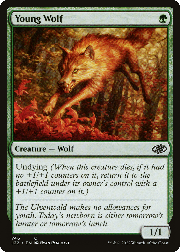 Image of Young Wolf [Jumpstart 2022]