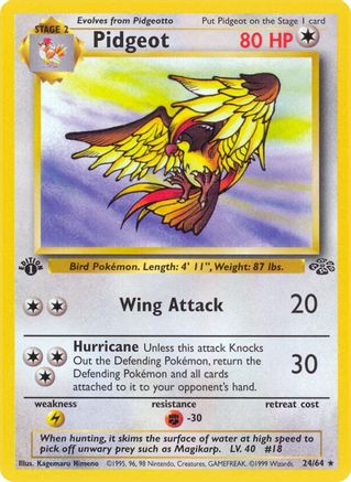 Image of Pidgeot (24/64) [Jungle 1st Edition]