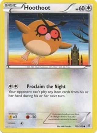 Image of Hoothoot (119/162) [XY: BREAKthrough]