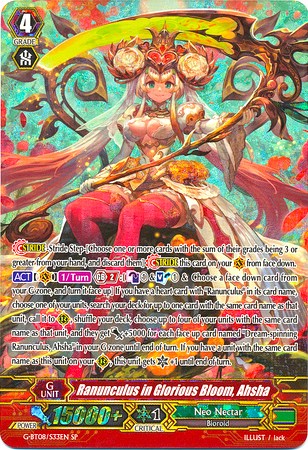 Image of Ranunculus in Glorious Bloom, Ahsha (G-BT08/S33EN) [Absolute Judgment]