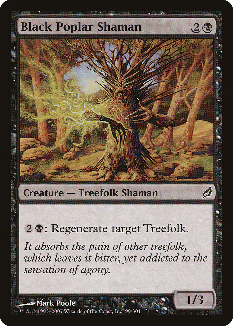 Image of Black Poplar Shaman [Lorwyn]