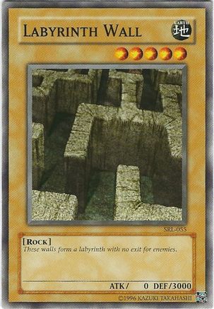 Image of Labyrinth Wall [SRL-055] Common