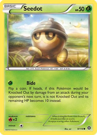 Image of Seedot (9/114) [XY: Steam Siege]