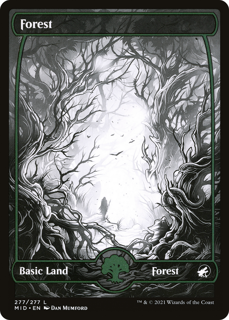 Image of Forest (277) [Innistrad: Midnight Hunt]