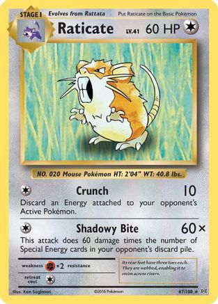 Image of Raticate (67/108) [XY: Evolutions]