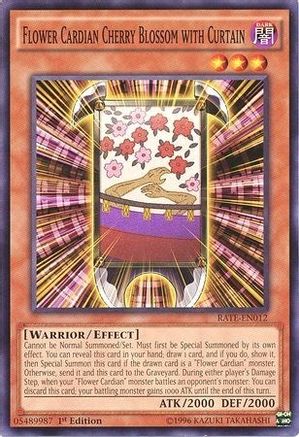 Image of Flower Cardian Cherry Blossom with Curtain [RATE-EN012] Common