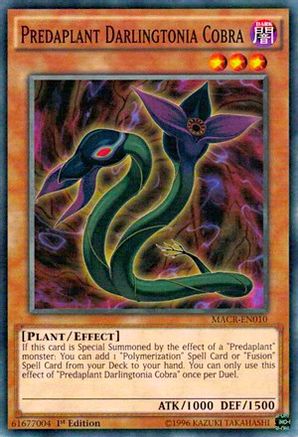 Image of Predaplant Darlingtonia Cobra [MACR-EN010] Common