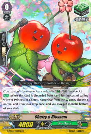 Image of Cherry & Blossom (FIGHTERS COLLECTION 2017)