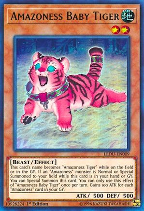 Image of Amazoness Baby Tiger [LEDU-EN009] Ultra Rare