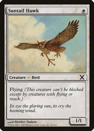 Image of Suntail Hawk (10E-050) - 10th Edition