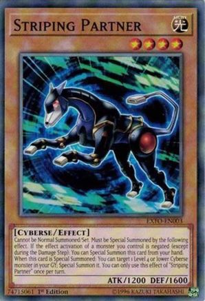 Image of Striping Partner [EXFO-EN003] Common