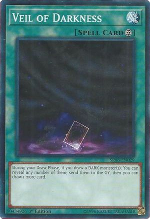 Image of Veil of Darkness [SR06-EN029] Common