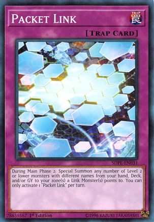 Image of Packet Link [SDPL-EN031] Common