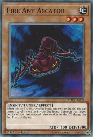 Image of Fire Ant Ascator [LED5-EN030] Common