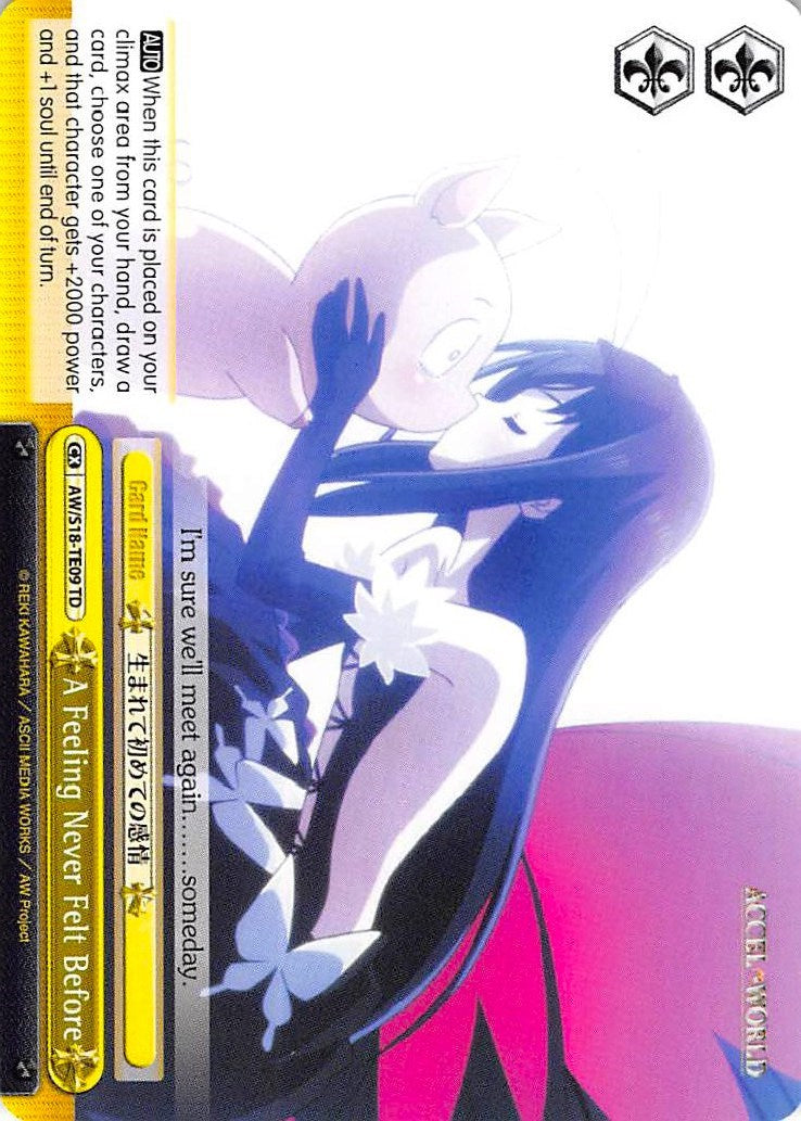 Image of A Feeling Never Felt Before (AW/S18-TE09 TD) [Accel World]