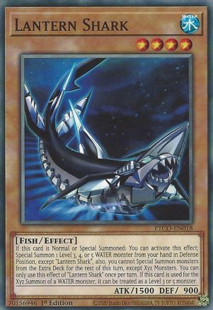 Image of Lantern Shark [ETCO-EN018] Common