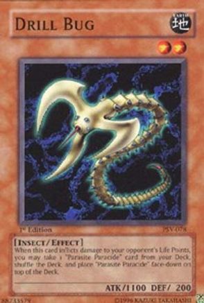 Image of Drill Bug [PSV-078] Common