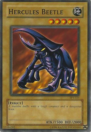 Image of Hercules Beetle [TP1-025] Common