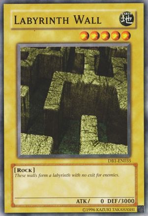 Image of Labyrinth Wall [DB1-EN035] Common