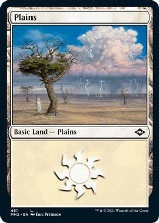Image of Plains (481) (Foil Etched) (MH2-481) - Modern Horizons 2 Foil