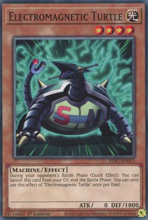 Image of Electromagnetic Turtle [EGS1-EN013] Common