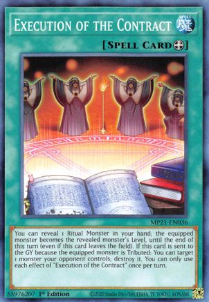 Image of Execution of the Contract [MP21-EN036] Common