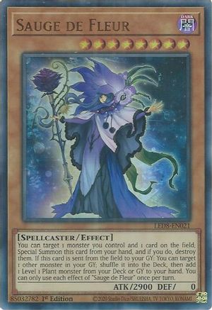 Image of Sauge de Fleur [LED8-EN021] Ultra Rare