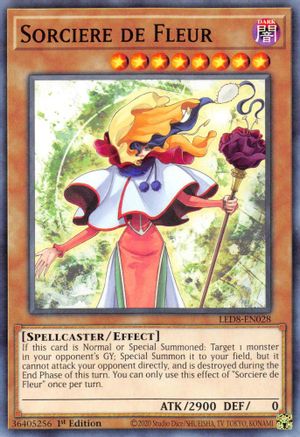 Image of Sorciere de Fleur [LED8-EN028] Common