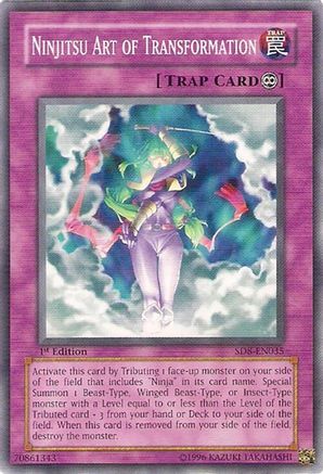 Image of Ninjitsu Art of Transformation [SD8-EN035] Common