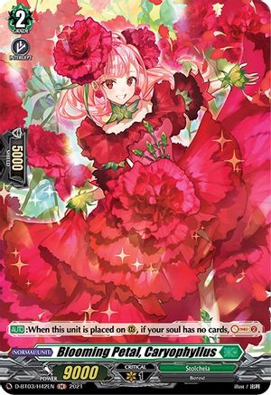 Image of Blooming Petal, Caryophyllus (Holo) (ADVANCE OF INTERTWINED STARS)
