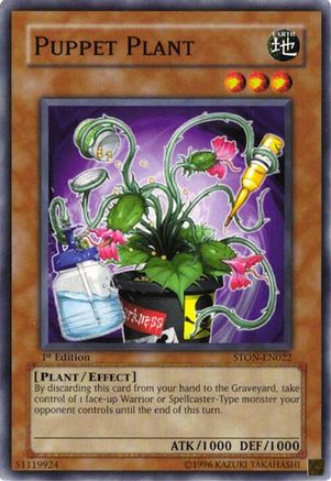 Image of Puppet Plant [STON-EN022] Common