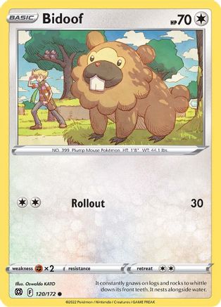 Image of Bidoof (120/172) [Sword & Shield: Brilliant Stars]