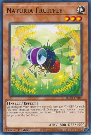 Image of Naturia Fruitfly [HAC1-EN106] Common