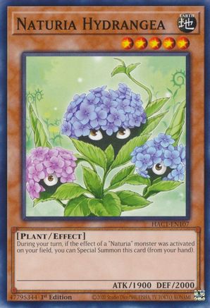 Image of Naturia Hydrangea [HAC1-EN107] Common