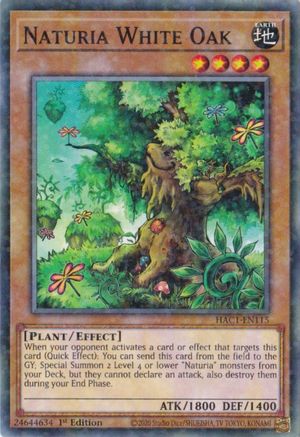 Image of Naturia White Oak (Duel Terminal) [HAC1-EN115] Parallel Rare
