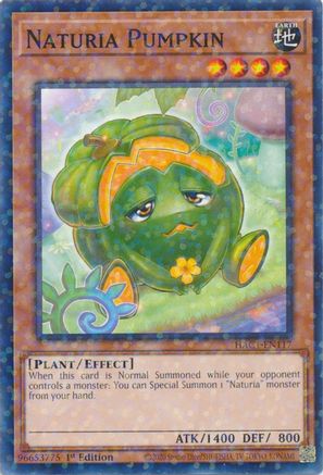 Image of Naturia Pumpkin (Duel Terminal) [HAC1-EN117] Parallel Rare