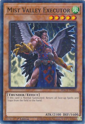 Image of Mist Valley Executor (Duel Terminal) [HAC1-EN060] Common