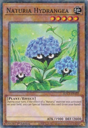 Image of Naturia Hydrangea (Duel Terminal) [HAC1-EN107] Common
