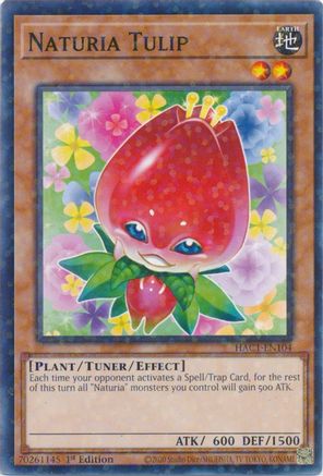 Image of Naturia Tulip (Duel Terminal) [HAC1-EN104] Common