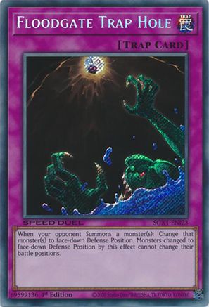 Image of Floodgate Trap Hole [SGX1-ENI23] Secret Rare