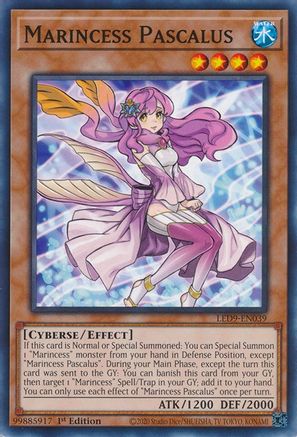 Image of Marincess Pascalus [LED9-EN039] Common