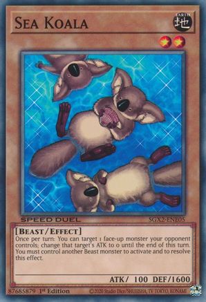 Image of Sea Koala [SGX2-ENE05] Common