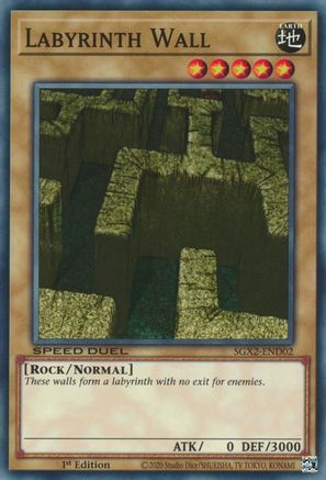 Image of Labyrinth Wall [SGX2-END02] Common