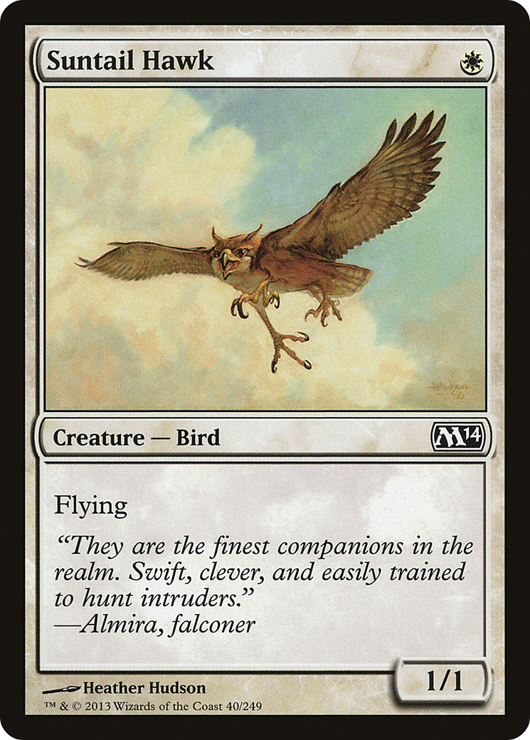 Image of Suntail Hawk [Magic 2014]