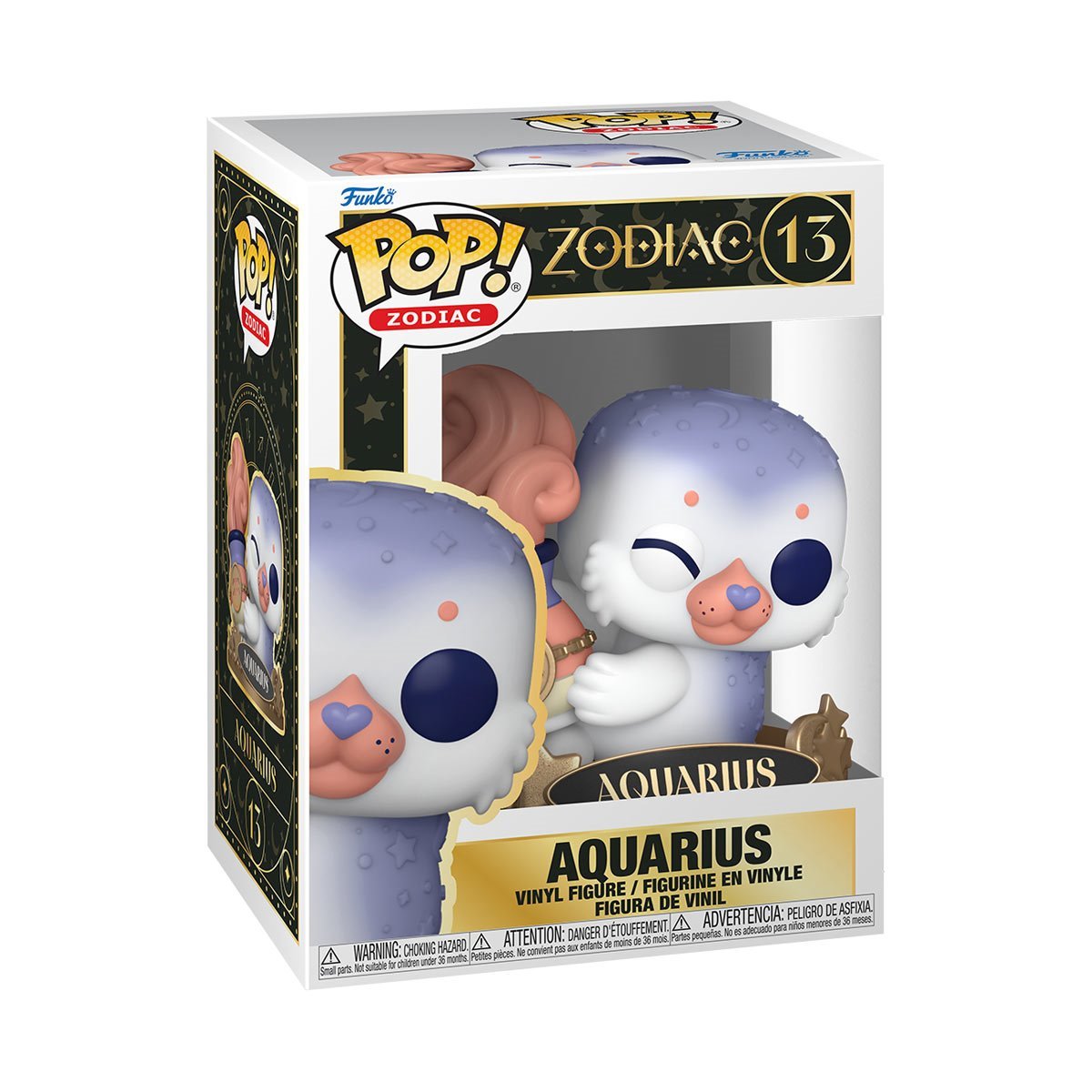 Image of Aquarius (Zodiac) #13