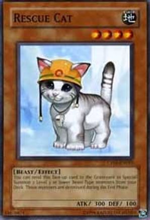 Image of Rescue Cat [CP05-EN015] Common