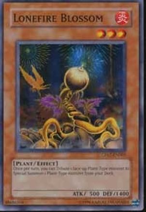 Image of Lonefire Blossom [CP07-EN005] Super Rare