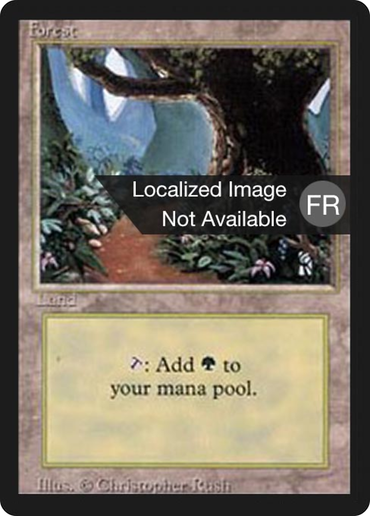 Image of Forest (B) [Foreign Black Border]